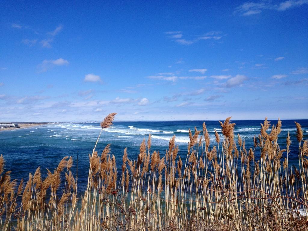 Black Boar Inn Ogunquit Bagian luar foto