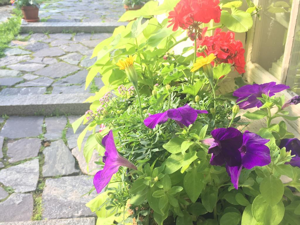 Black Boar Inn Ogunquit Bagian luar foto